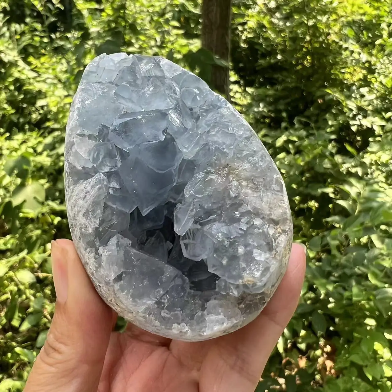 511 г 8 2 см натуральные синие кристаллы келестита жеодовое яйцо для украшения дома