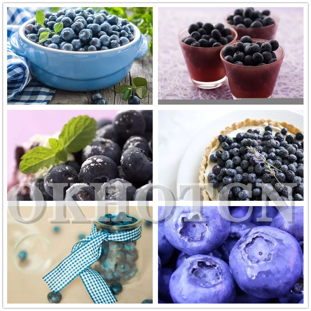 

Diamond Painting Blueberry Macaron Foods Mosaic Art Cross Stitch Kits Full Drill Diamond Embroidery Kitchen Decoration Stickers