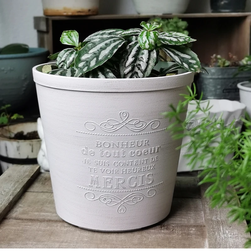 

Antique Vintage Plastic Mini Pot for Plant