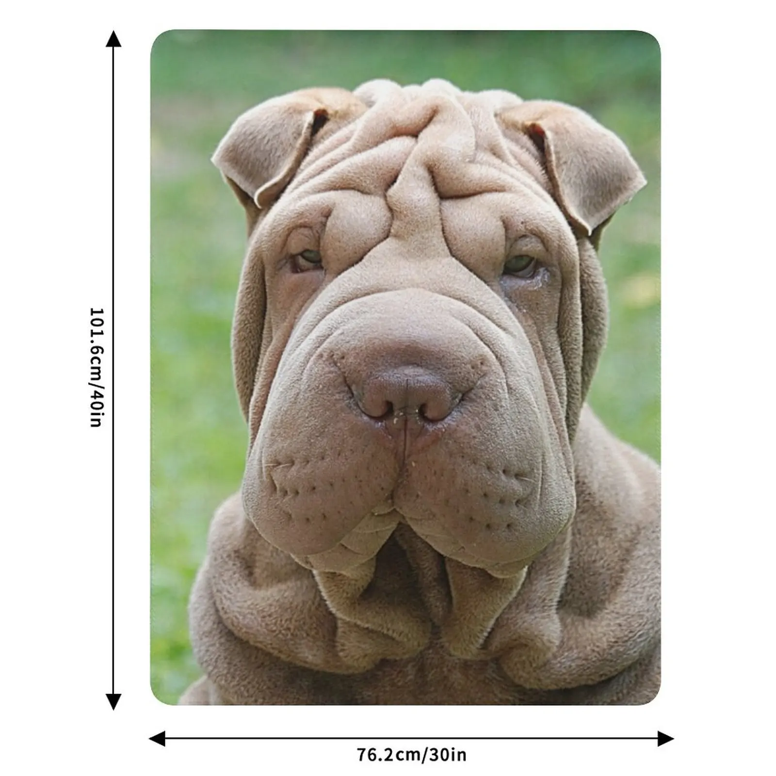 Плед Shar-Pei, устойчивый к сминанию, легкий плед (art.: 3920dc35c6d72) - 3920dc35c6d72