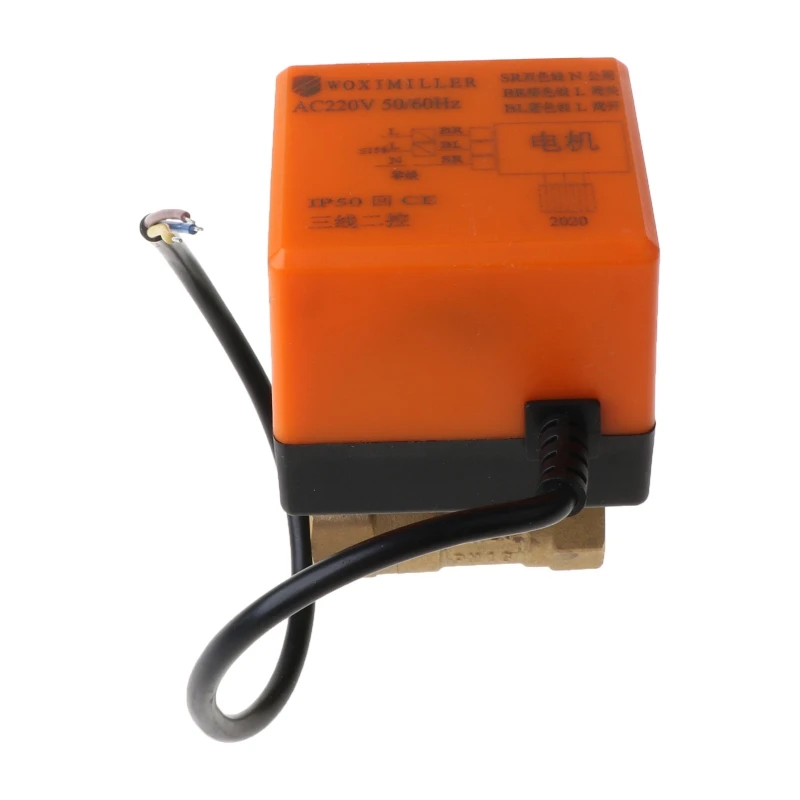 

Electric Motorized Brass Ball Valve DN20 AC 220V 2 Way 3-Wire with Actuator