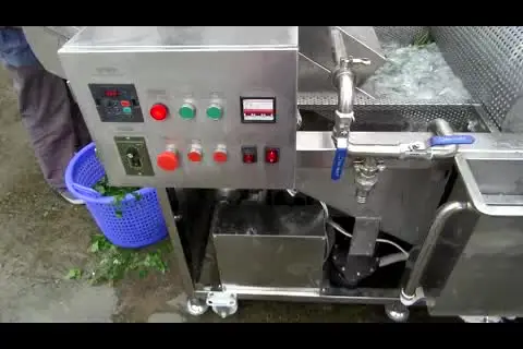 

Restaurant Industrial Garlic Tomato Mushroom Onion Banana Fruit Vegetable Bubble Washer And Sterilizer Cleaning Washing Machine