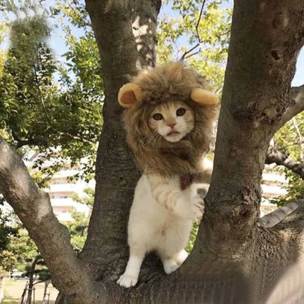 

Halloween dressing up as a cute cat, dog, and cute universal adjustable Velcro autumn and winter lion transformed into a pet hat