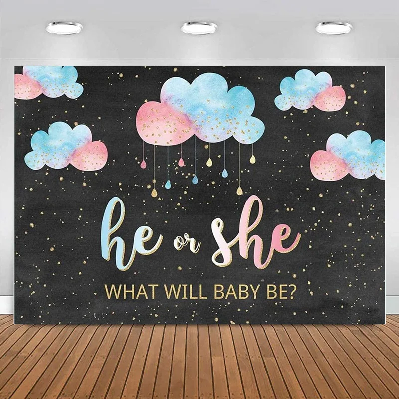 

Gender Reveal Party Backdrop Cloud Blue or Pink Banner He or She Decoration What Will Baby Be Baby Shower Photography Background