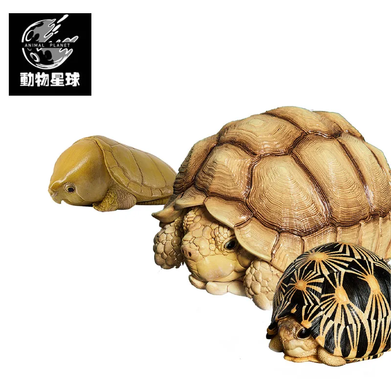 

Животные планеты A серии смех и растущий жир центрохелис сульката Carettochelys Insculpta Platysternon Megacephalum модели игрушки