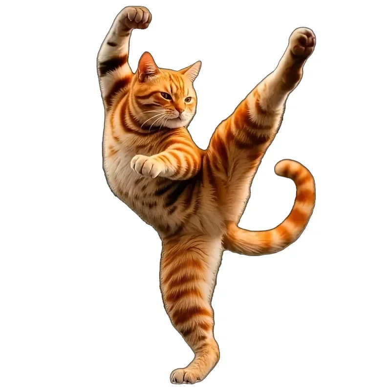 

Наклейки на автомобиль с котом кунг-фу, водонепроницаемые виниловые наклейки, для окон, бампера, внешние декоративные аксессуары