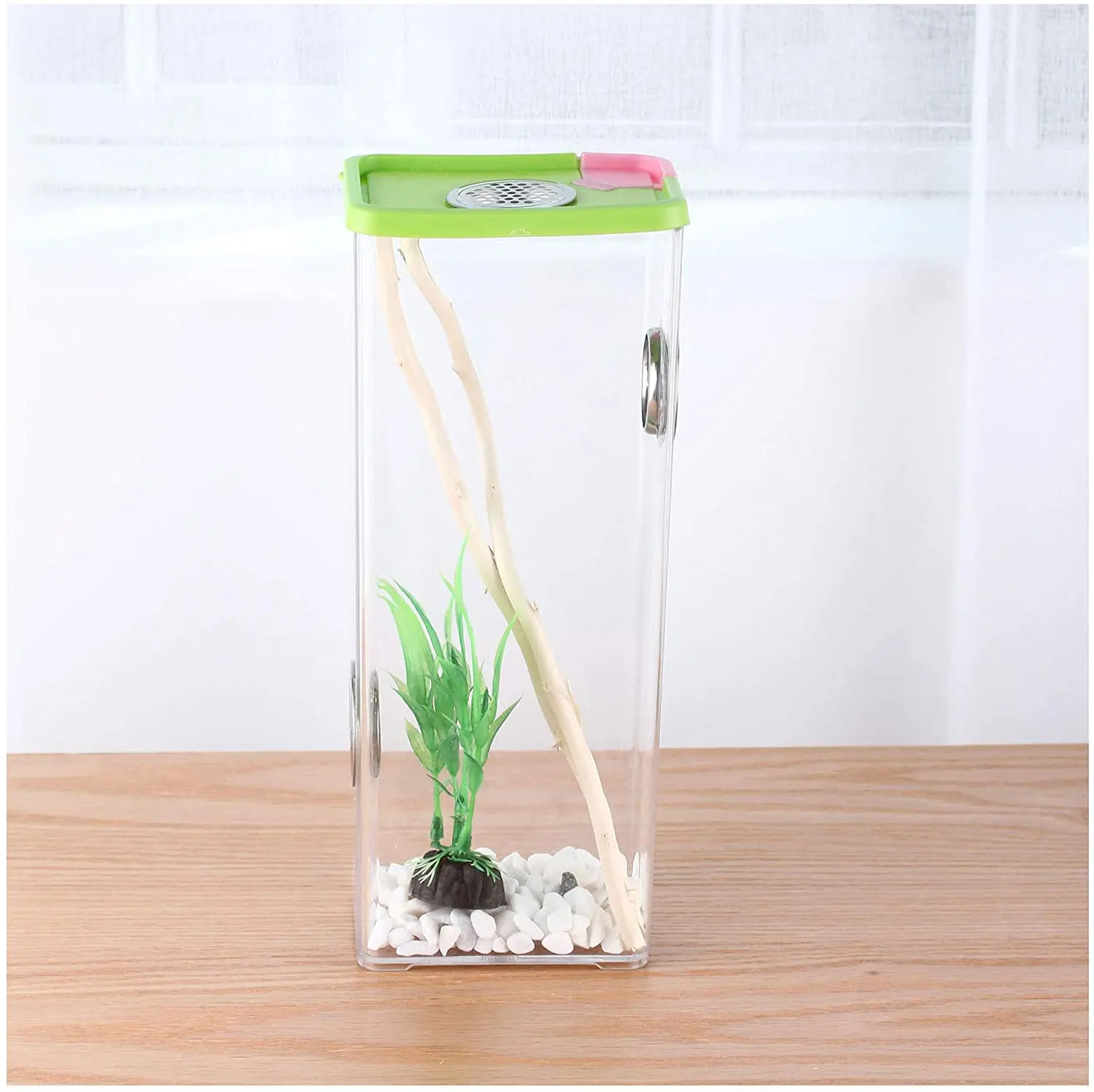 

Insect Box for Children Science Discover Colored Cage Butterfly Spider Bottle Frog Mantis Habitat Breathable Outdoor Science