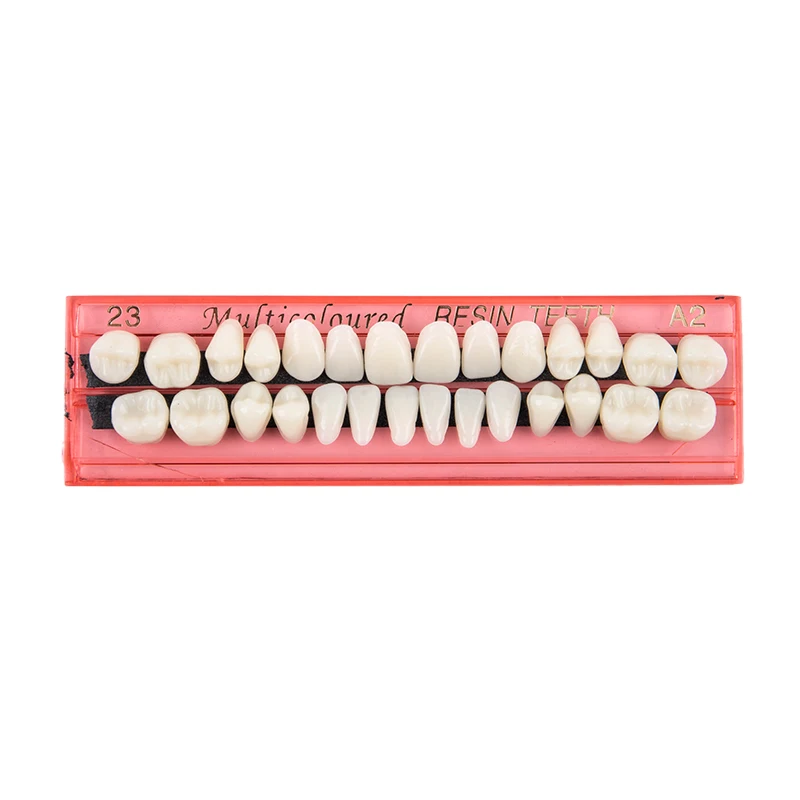 

28Pcs/Set Resin Teeth Model Durable Dentures Universal Resi False Teeth Dental Material Teeth Teaching Model Dedicated Teeth