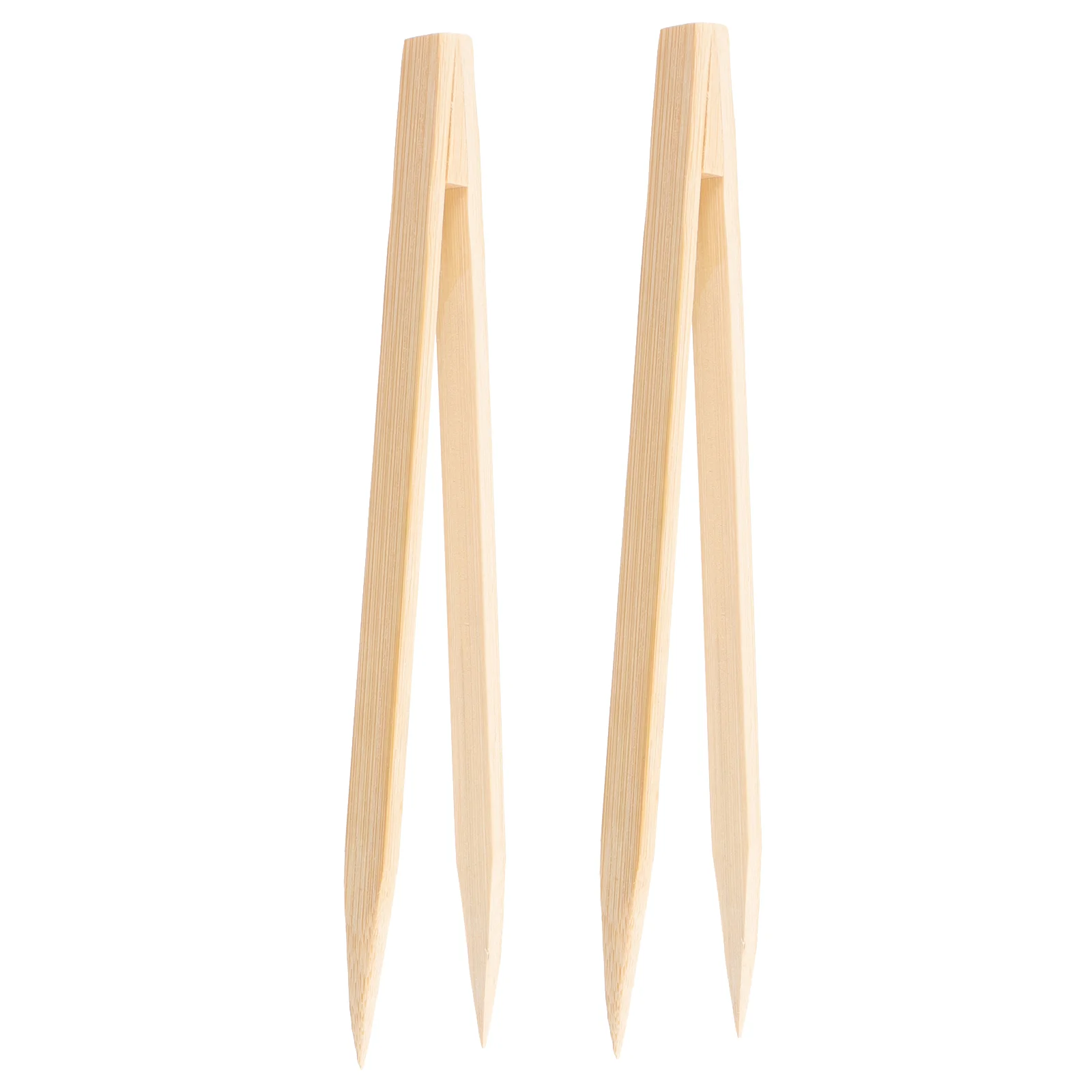 

2 Pcs Food Clip Grilling Tools Reptile Tweezers Bamboo Crawling Pet Long Terrarium Feeding Stainless Steel Feeder