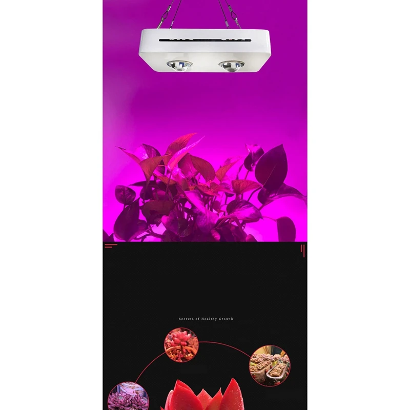 

LED Grow Light Full Spectrum Plant Lamp Growing Lamps Bulbs For Indoor Succulents Plants Garden Flower,100W,EU Plug