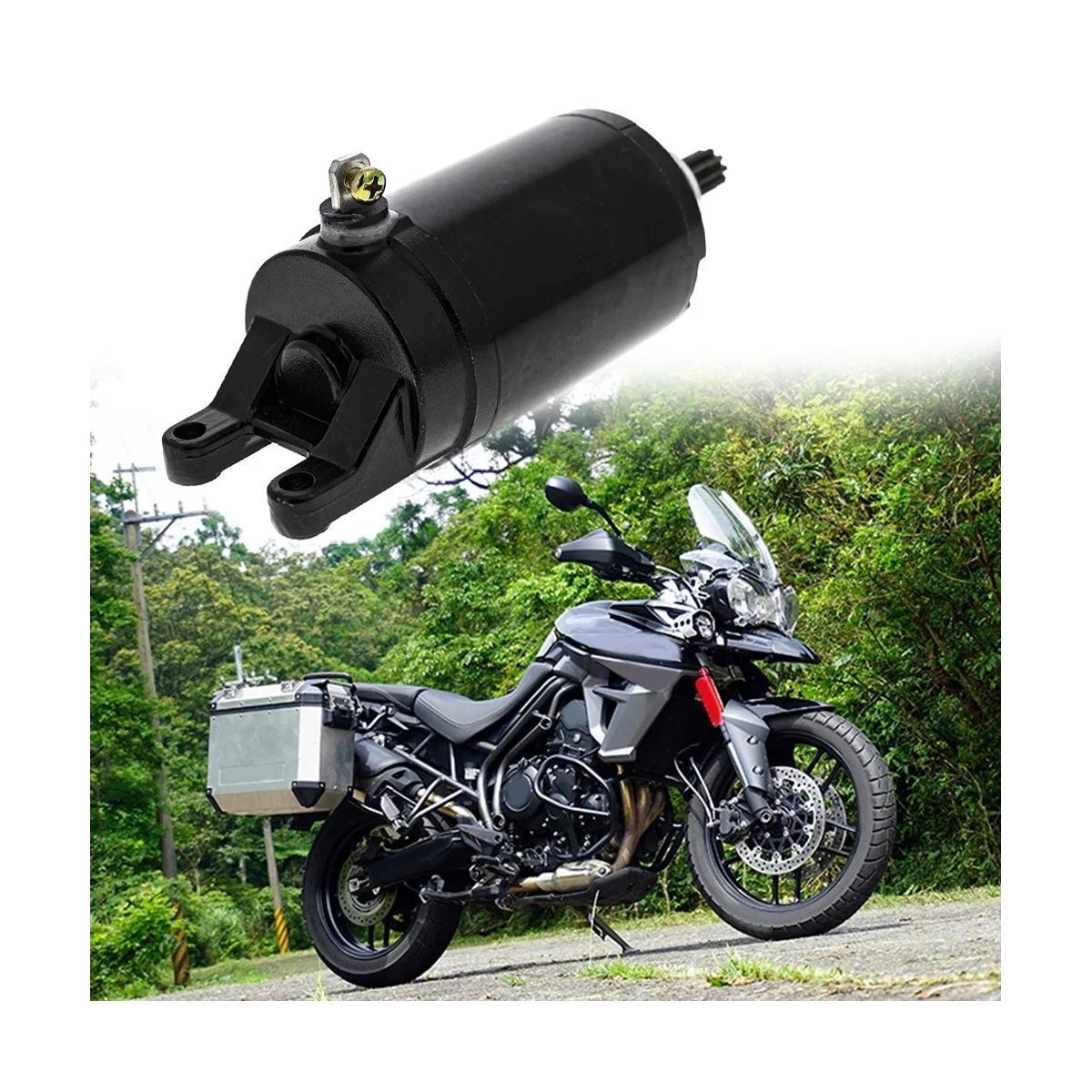 

Motorcycle Starter Motor for Triumph Tiger 800 XR XRx XRt XCx Xca T1313333