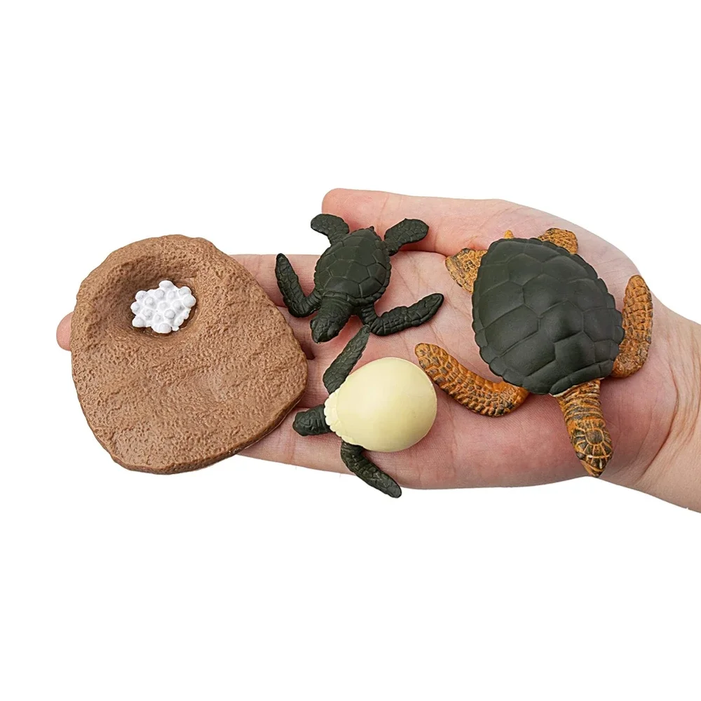 Фигурки морских животных OozDec 17 шт. с жизненным циклом зеленая морская черепаха