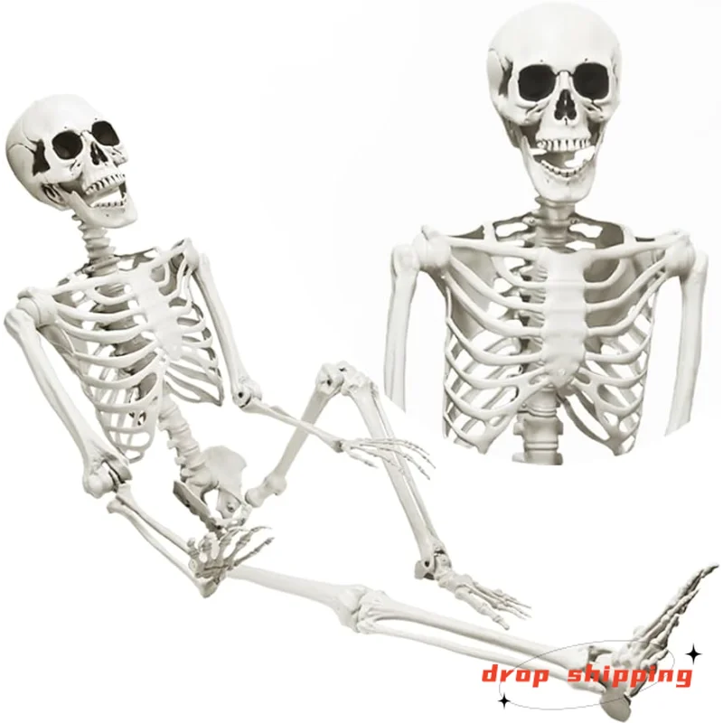 

DINESIL 5.4ft/165cm Halloween Skeleton, Halloween Plastic Human Realistic Skeletons Life Size Full Body Bones with Movable Joint
