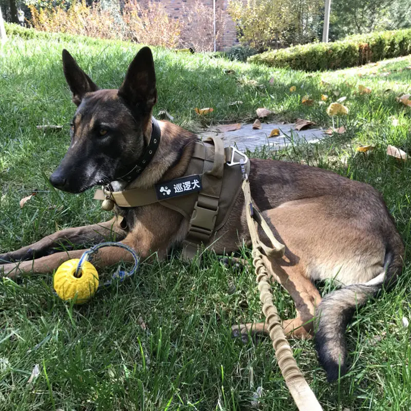 

Dog tactical chest strap medium and large dog K9 vest style traction rope German shepherd golden retriever wolf dog walking rope