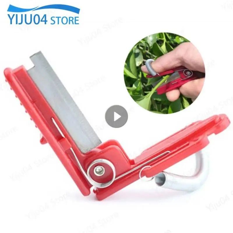 

Нож для резки овощей, ножницы для сбора овощей и фруктов, лезвие для сбора овощей