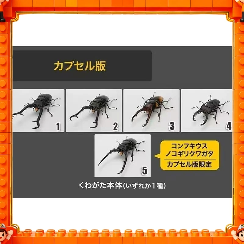 Фото 2026 Оригинальная модель Bandai GP Ikimono Taikan Stag Beetle 11 (Prosopocoilus Giraffa) в наличии, игрушка-подарок №1