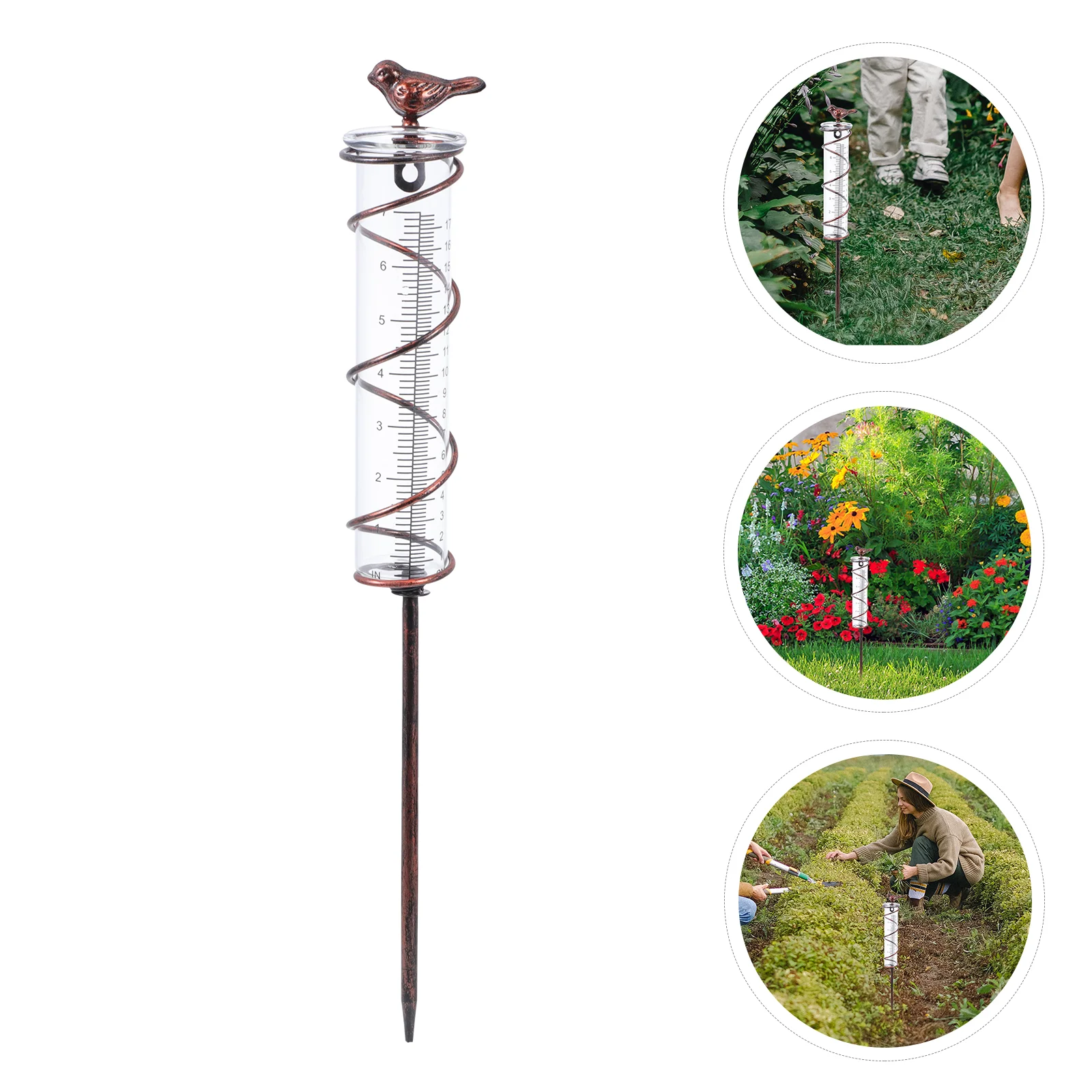 

Bird Gauge Outdoor Decoration Container Resin Measuring Cup Device Garden Managing Tool Outside