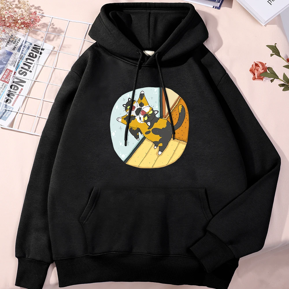 

The Angry Cat Looked At Himself In The Mirror Man Hoodie Kpop Hat Rope Streetwear Kpop Pullover School Fleece Male Sportswears