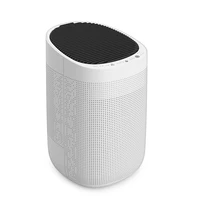 desktop portable mini smart duct air purifier and dehumidifier
