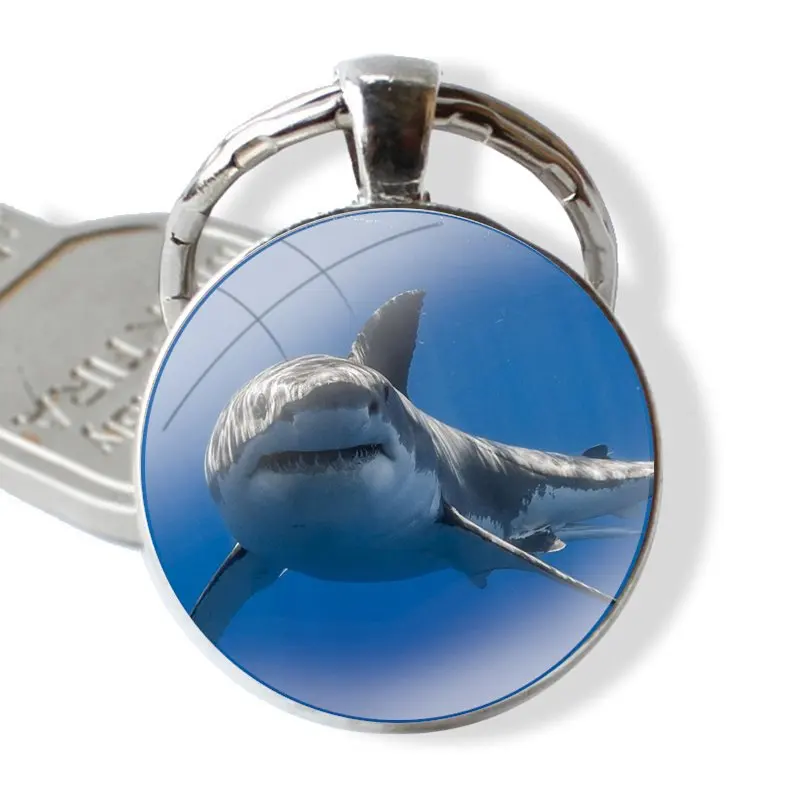 Браслет для ключей Ocean Shark 25 мм стеклянный брелок Cabohcon ювелирный подарок