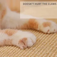 Когтеточка#2