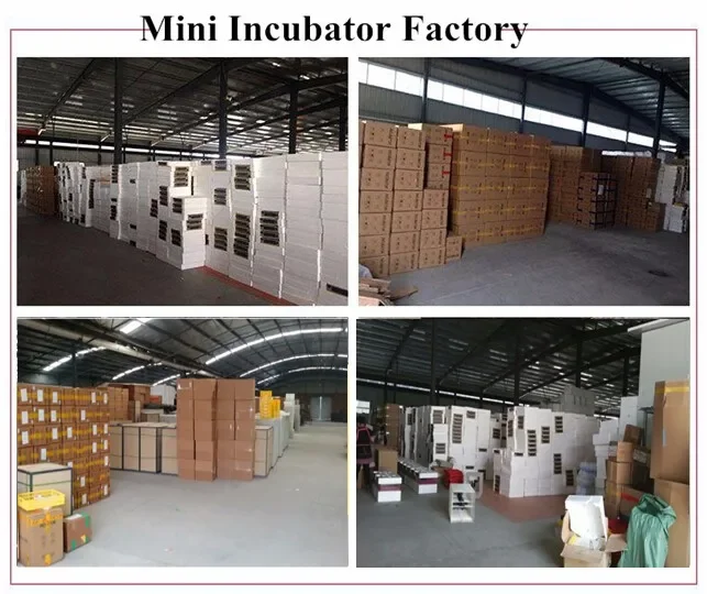 Автоматический мини-инкубатор для яиц