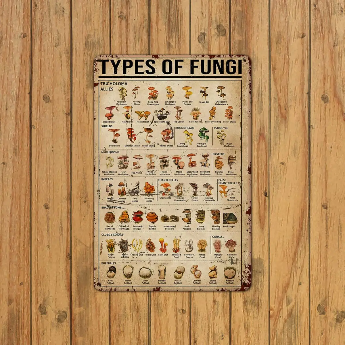 Dectinsign металлические жестяные знаки декор для стен в виде грибов знания о грибах