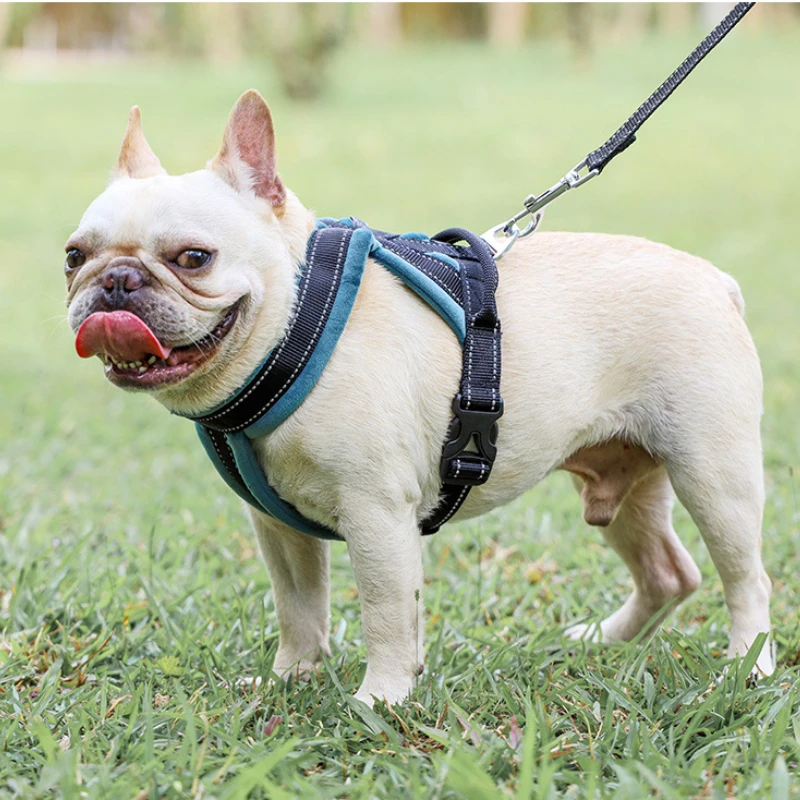 

Dog Pet Chest and Back Cover Breathable Mesh Cloth Comfortable Dog Traction Chest Strap Explosion-Proof Dog Supplies