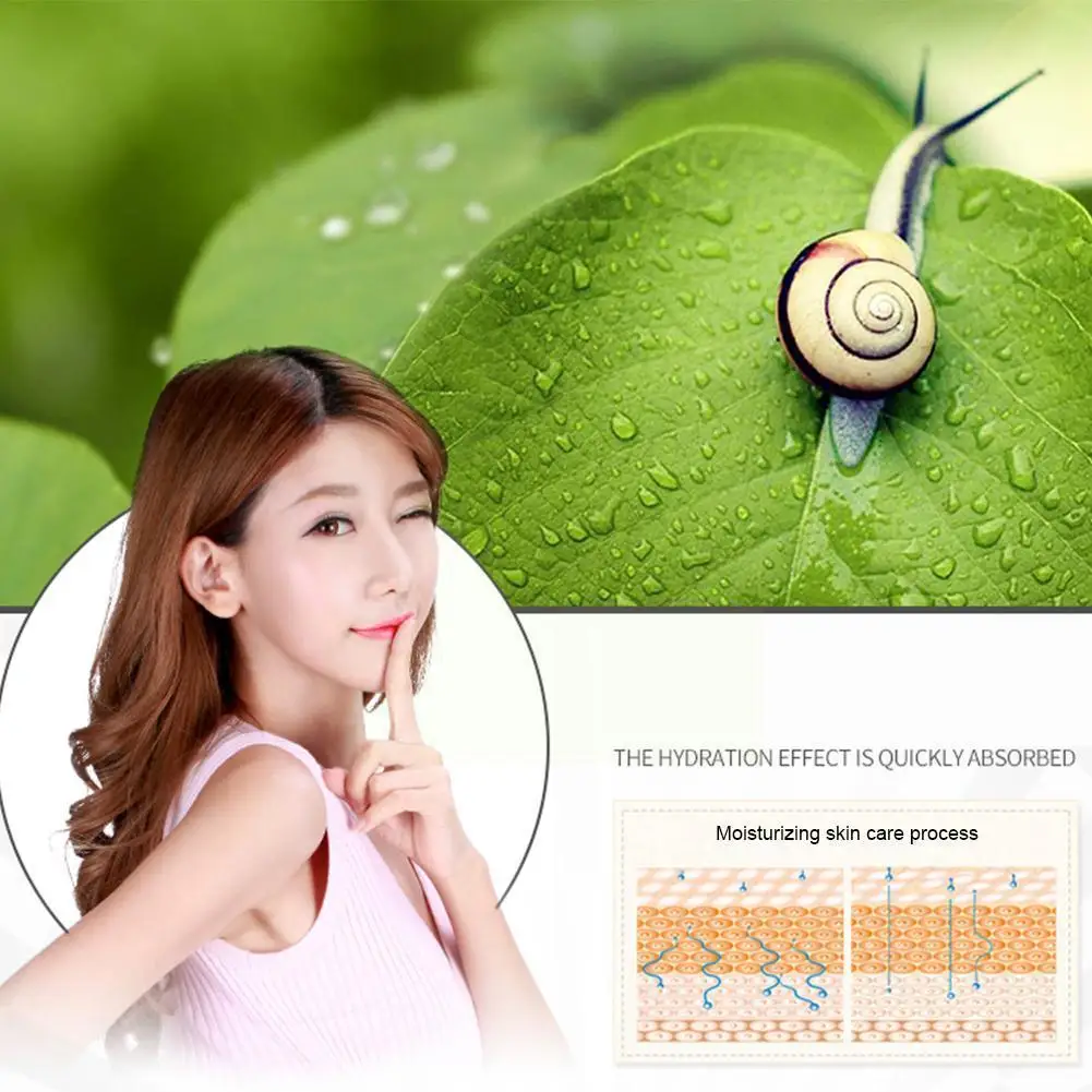 

Korean Whitening Cream Snail Extract Face Cream Skin Anti Remover Dark Care Anti-aging Whitening Concealing Spot 50g G8d9