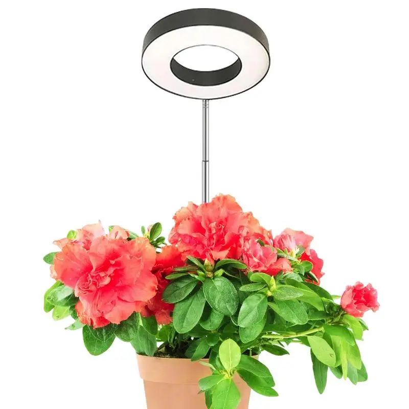 

LED Grow Light Full Spectrum Grow Lamp USB Lamp For Plants Lamp For Plants Growth Lighting For Indoor Plant