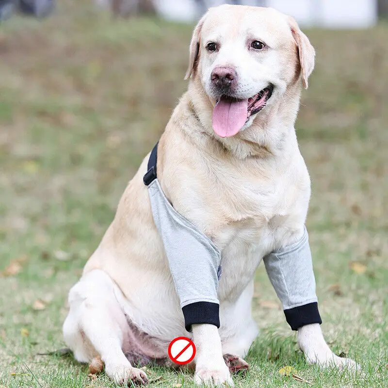 

Elbow Brace Protector Soft Breathable Pain Relief Shoulder Support Elbow Sleeves Pads for Canine Elbow
