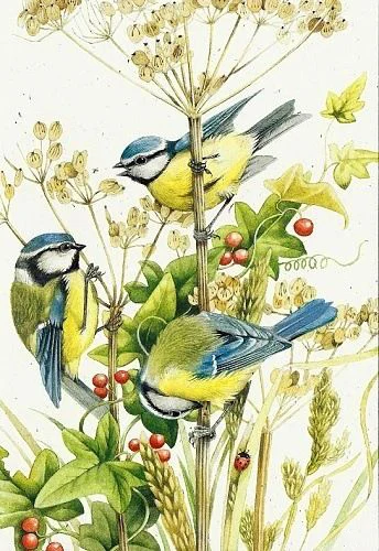 

Алмазная живопись, животные, птица, 5d, мозаика «сделай сам», полностью квадратная, круглая, сверло, Алмаз Стразы, алмазная вышивка, картины