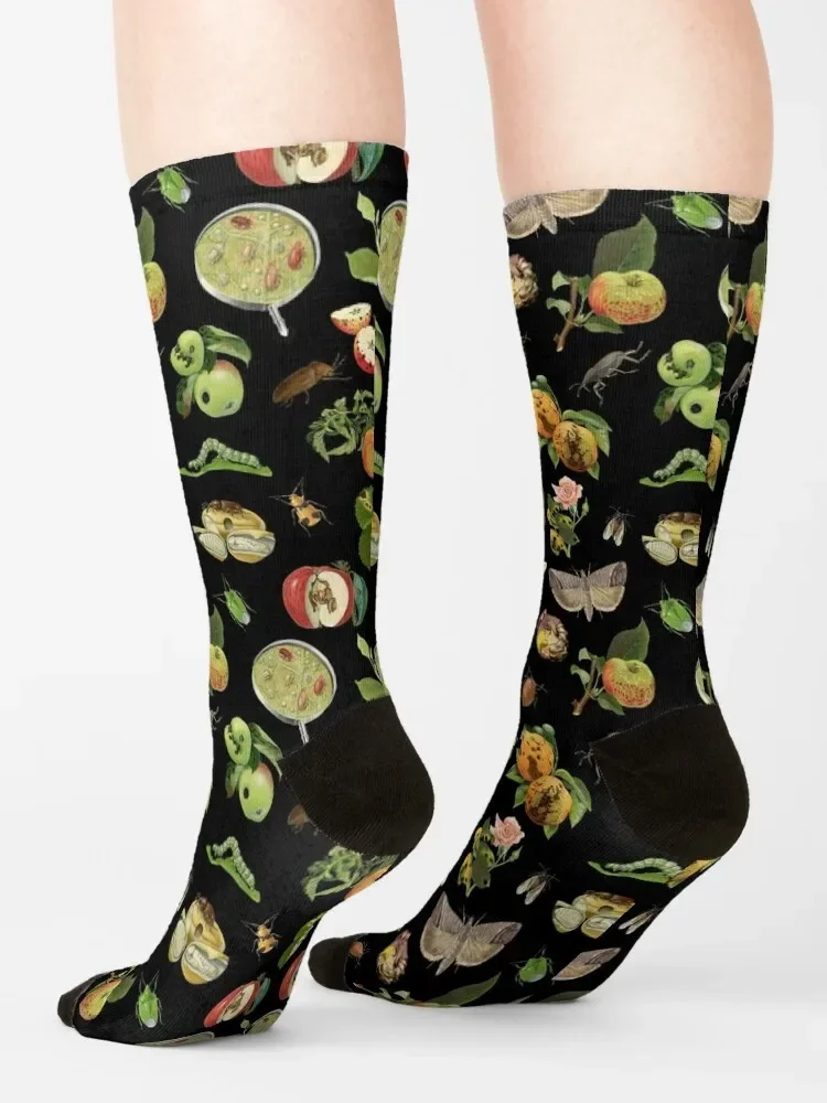 Носки с изображением насекомых-вредителей и растительных заболеваний Маргарит