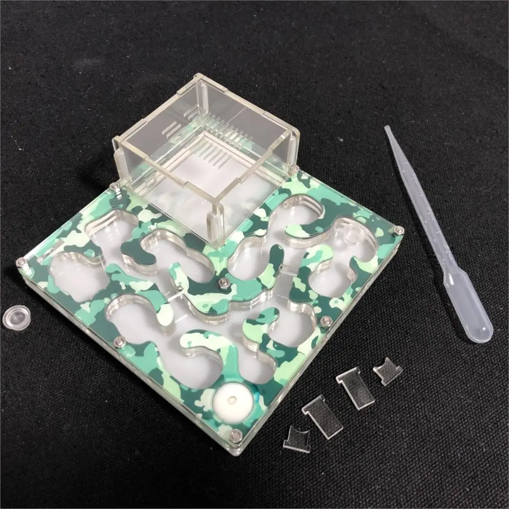 Камуфляжная семья для пчеловодства большой муравьиный гнездо муравьиная ферма