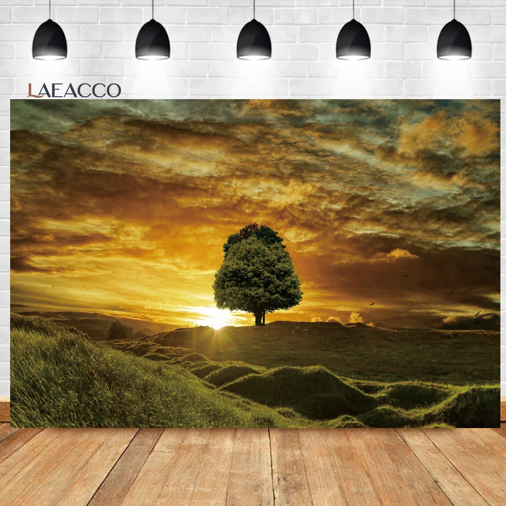 

Laeacco Spring Dusk Field Nature Landscape Photo Backdrop Green Grass Mountain Clouds Kid Adults Portrait Photography Background