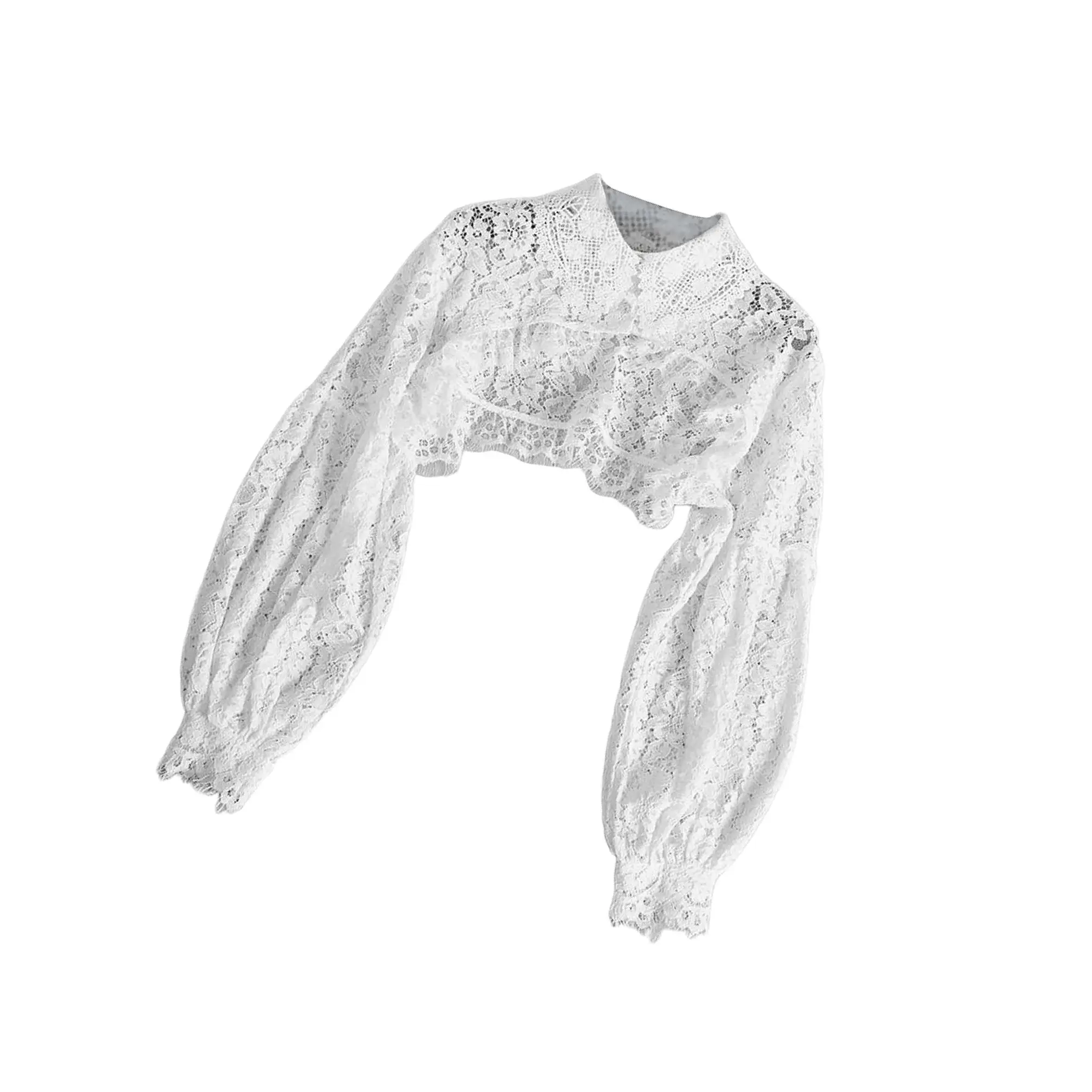 

Women White Fake Collar Blouse Vintage Detachable Shirt Collar False Decor