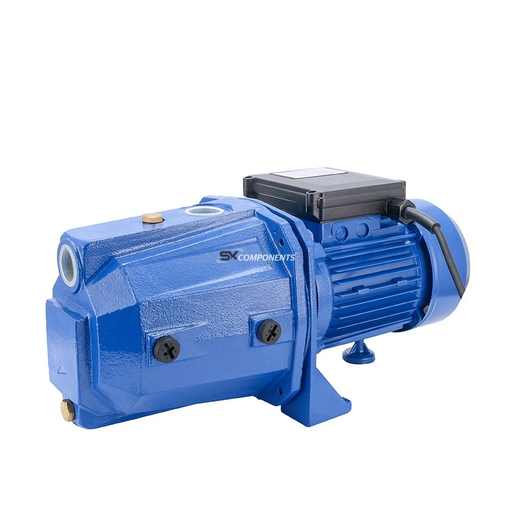 

220V Booster electric motor Pump 1hp jet high Pressure le 0 big flow iron cast copper coil Clean shimge water Pump