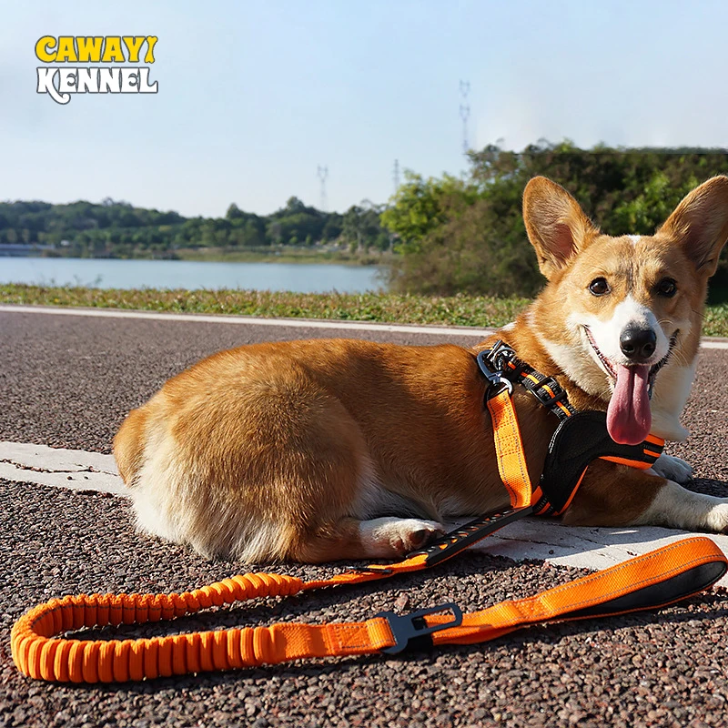 

CAWAYI KENNEL Reflective Dog Leashes Bungee Hand-held Leads High Elasticity Nylon Retractable Pet Leads Running Walking Outdoor