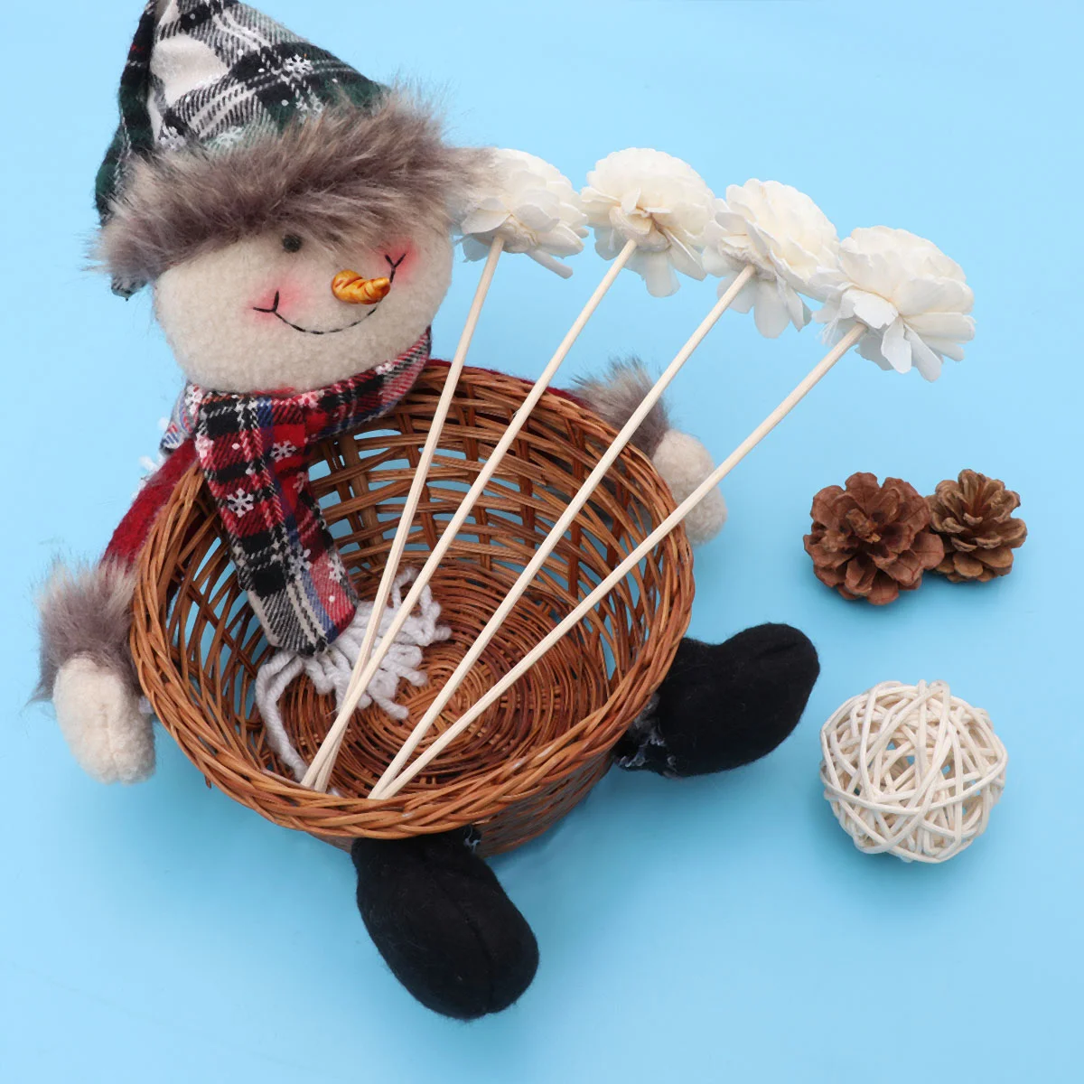 

5 Pcs Rattan Reed Sticks Portable Straight Decorative Aroma Oil Sticks Essential Oil Reeds Fragrance Reed for Kitchen