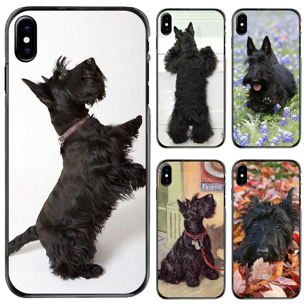 

Hard Phone Skin Case Black Scottish Terrier Dog Puppy For Apple iPhone 11 12 13 14 Pro MAX Mini 5 5S SE 6 6S 7 8 Plus 10 X XR XS