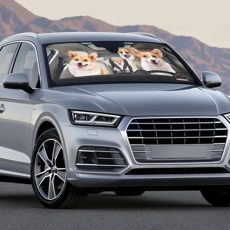 Рисунок 6 - Автомобильный солнцезащитный козырек Corgi