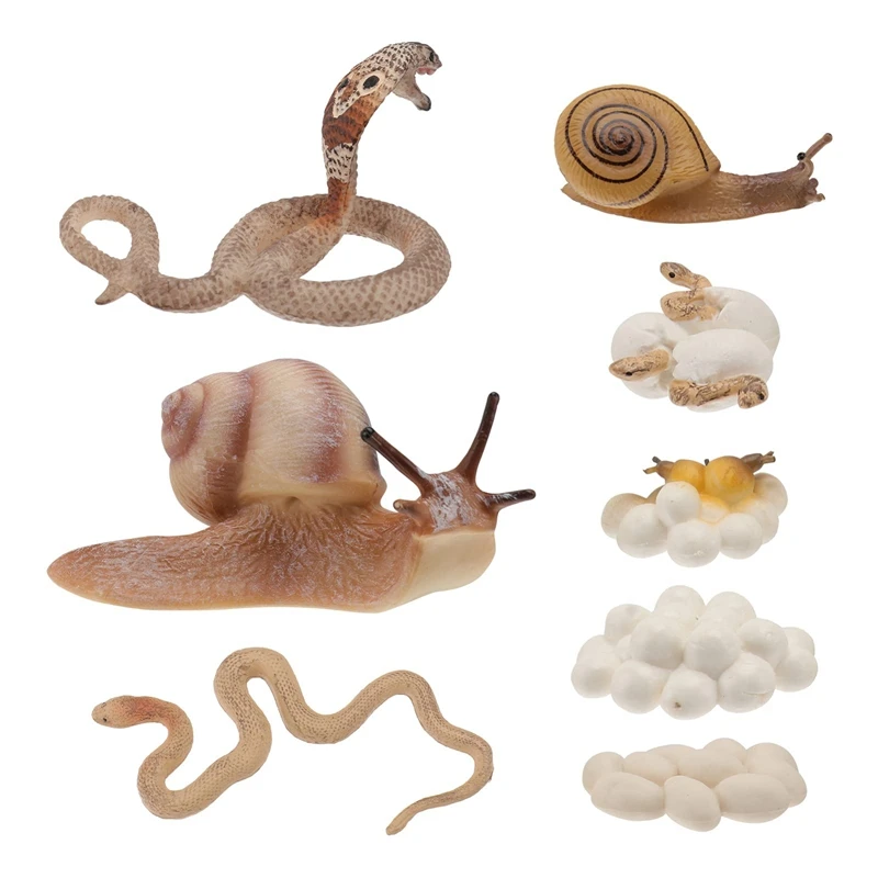 

8Pcs Animal Life Cycle Figurines Cobra and Snail Life Cycle Stages Toys Action Figures Educational for Children Kids