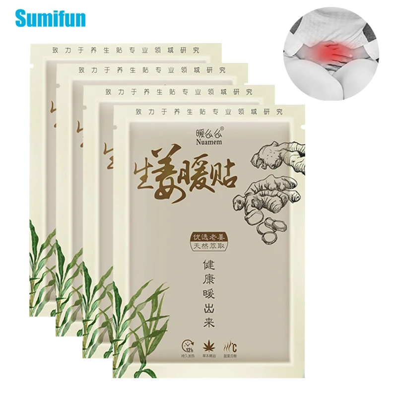 

6Pcs Ginger Warming Patch Period Pain Relief Self-Heating Adhesive Plaster Warm Cervical Waist Abdomen Back Sticker Women Health