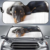 cute dachshund dog lying on white bed image print car sunshade funny black and tan dachshund doxie lover auto sun shade windsh