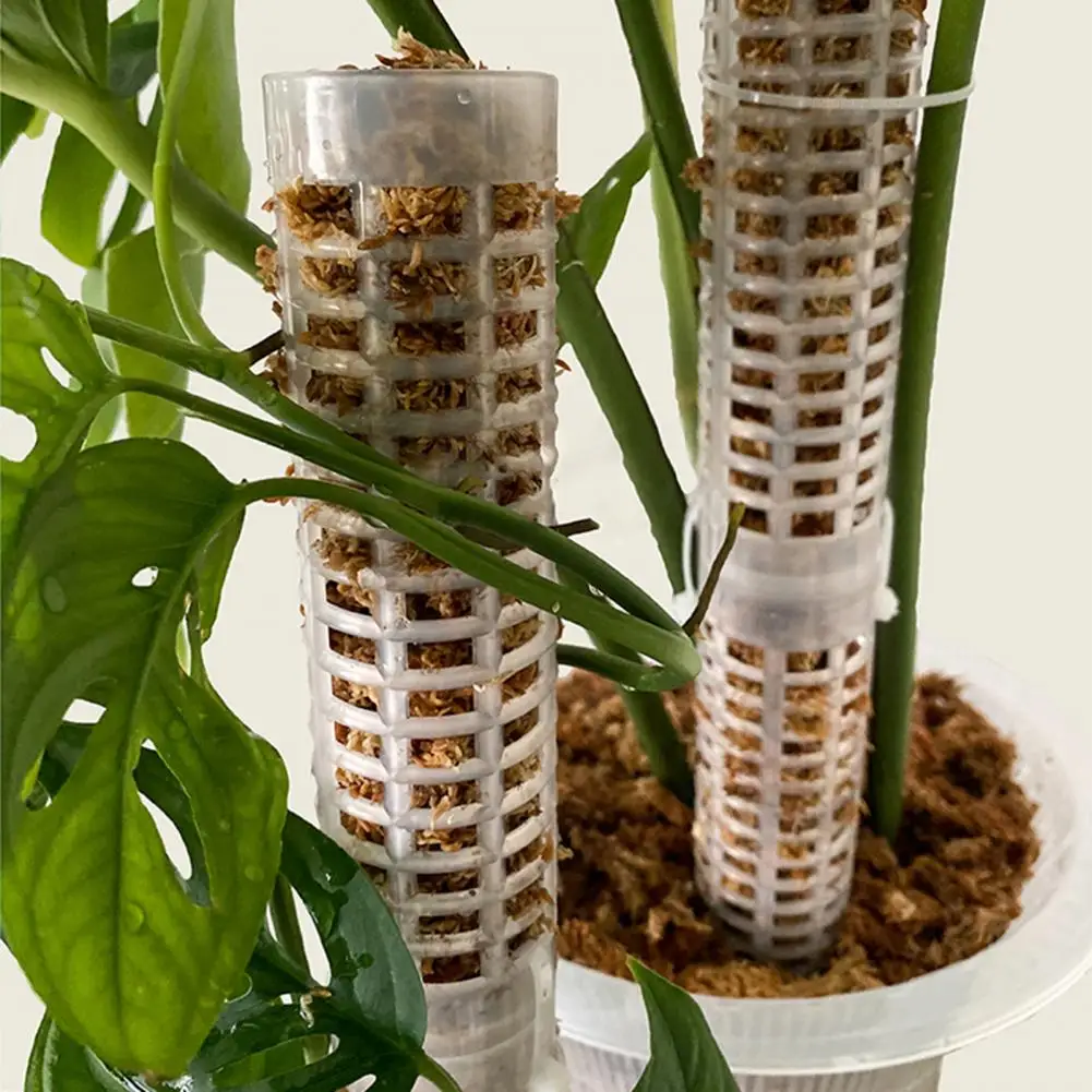 

1 Set Convenient Plant Moss Stick User-friendly Plastic Potted Plants Frame Moss Pole Potted Plants Climbing Supporting Stick