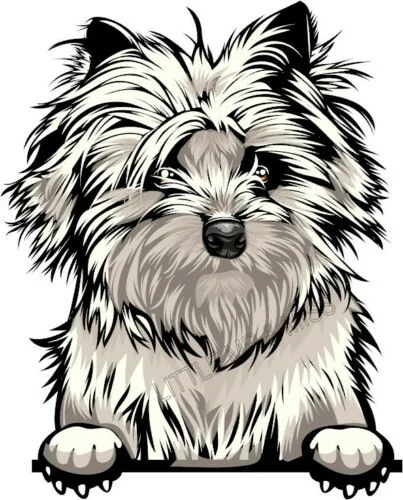 

For CAIRN TERRIER No.2 Peeking Dog Breed Colour Window Wall Laptop Sticker
