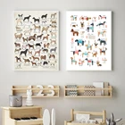 Картина на холсте с изображением собак всех стран, календарь с собаками