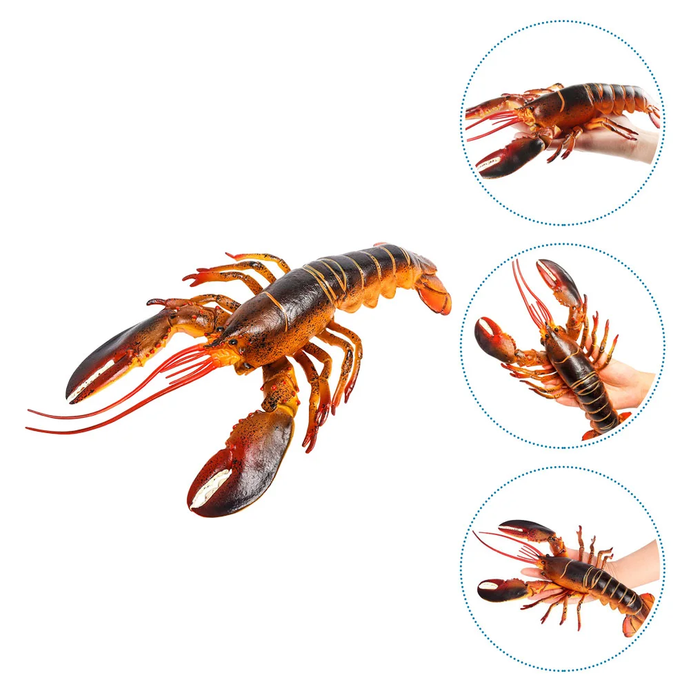 

Fish Tank Decor Lobster Figure Food Realistic Figurine Simulation Figurines Toy Large Simulated Animal Seaside