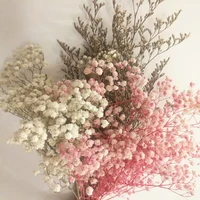 gypsophila%ef%bc%8clover grass%ef%bc%8cpampas grass composition of bouquets beautiful natural dried flowers valentines day present home decor