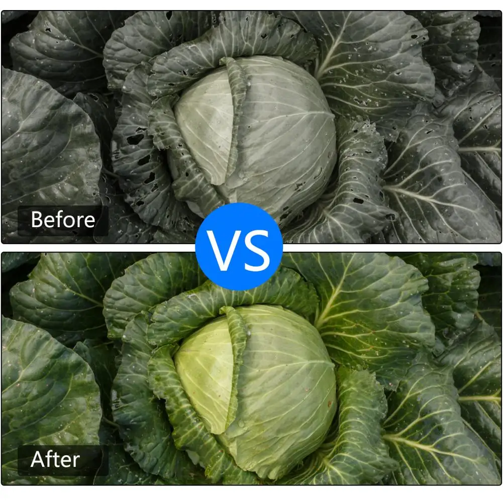 

Plant Bird Net with Garden Hoops Reusable Garden Plant Protect Anti-mosquito Netting Plastic Plant Net Cover Garden Supply